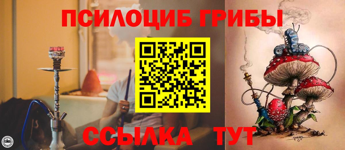 Галлюциногенные грибы мицелий Братск