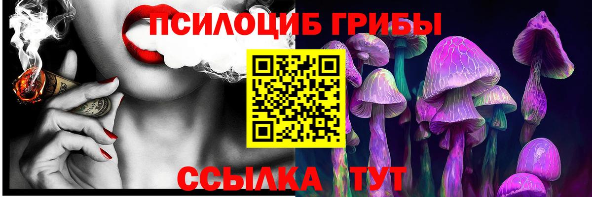 Братск  Галлюциногенные грибы прущие грибы  Вход с VPN 
